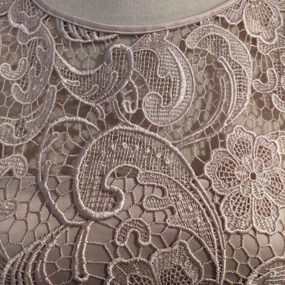 ADRIANNA PAPELL MOTHER OF THE BRIDE LACE DRESS SIZE 4 - Picture 4 of 4